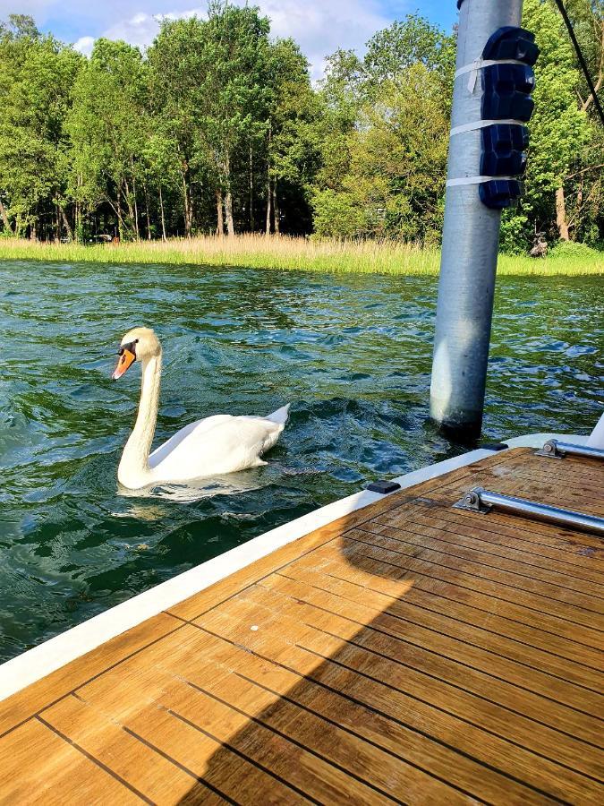 Luxusurlaub Auf Der Amavida Yacht / Scharmuetzelsee 호텔 바트 자로 외부 사진